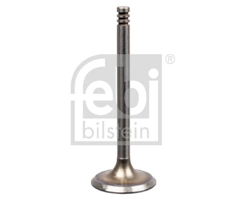 Intake Valve